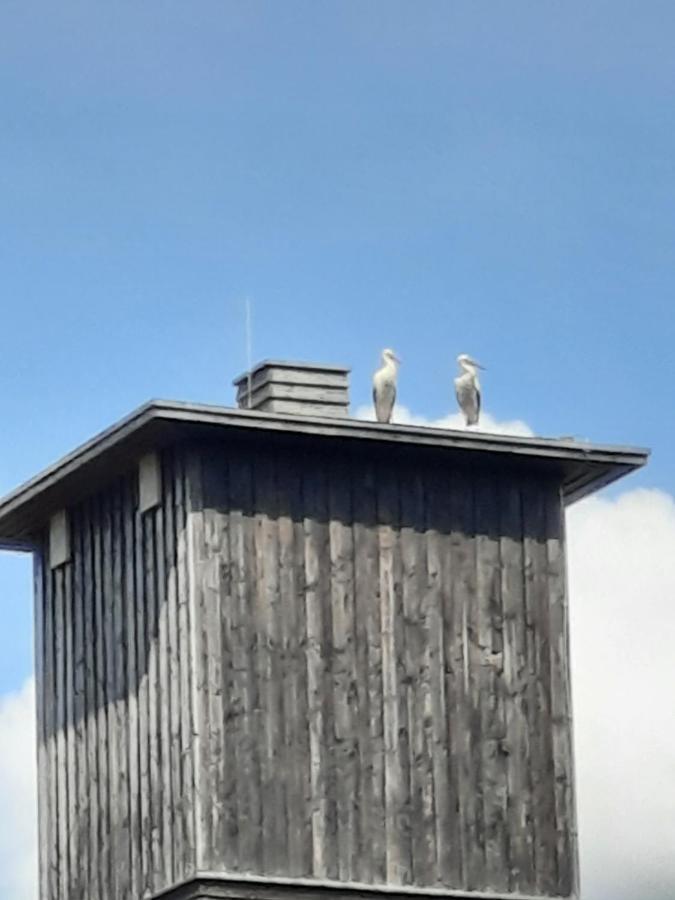 Ferienwohnung Am Schloss Reuterstadt Stavenhagen Buitenkant foto